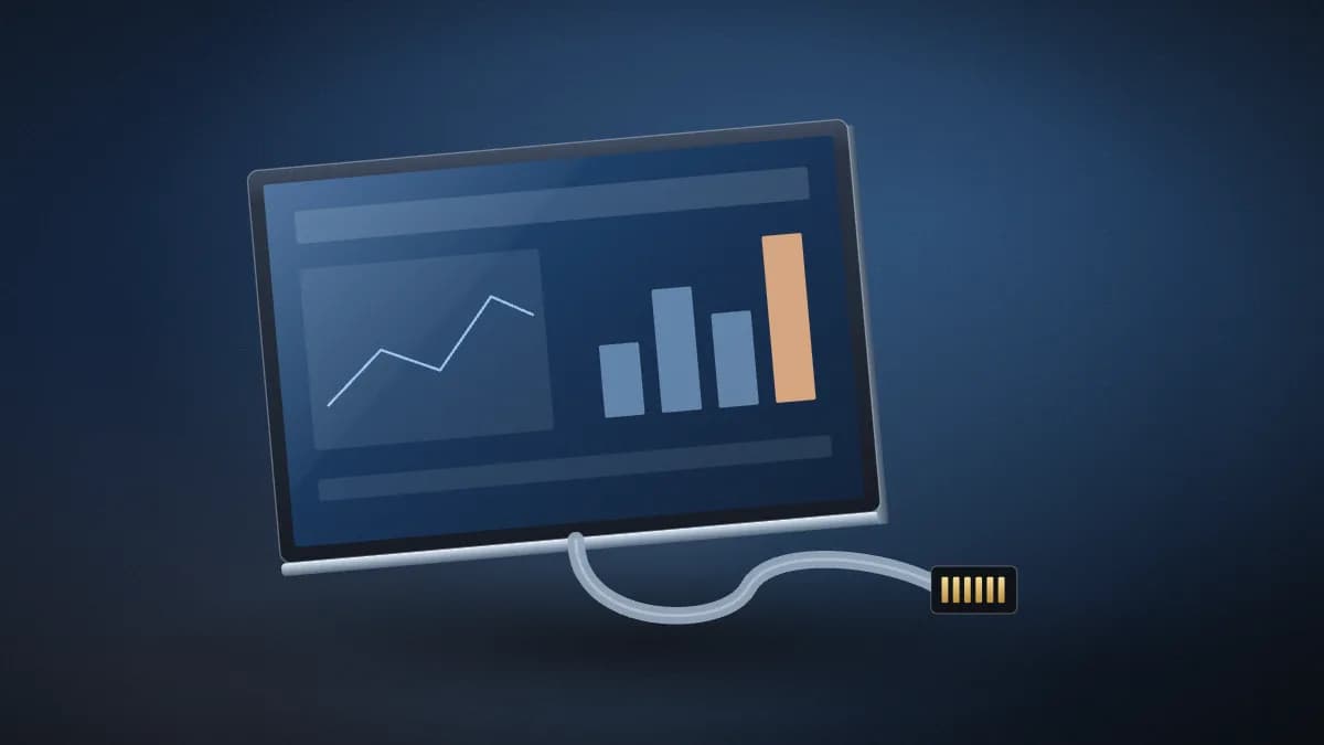 Laptop display panel with its connector